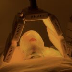 DermoLed 7 LED phototherapy facial treatment session with orange light mode